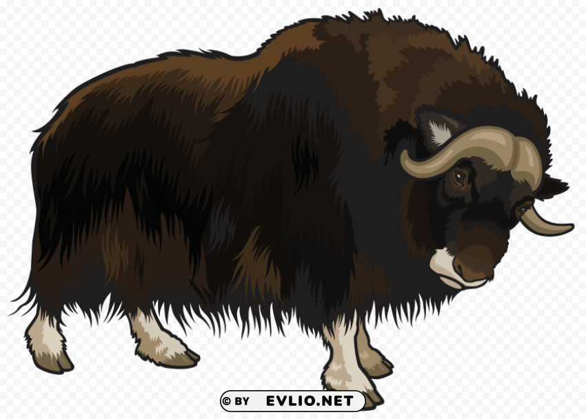 buffalo PNG Graphic with Transparent Background Isolation