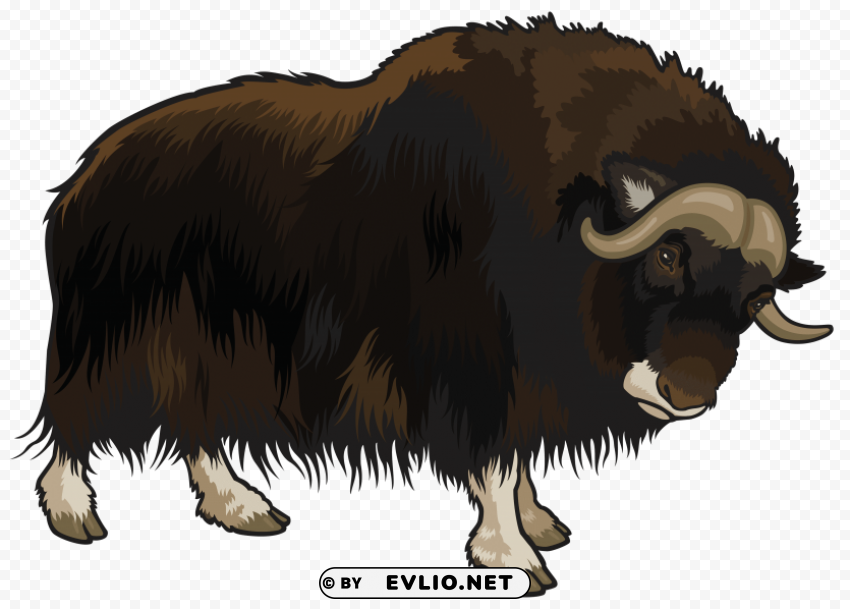 Buffalo PNG Graphic With Transparent Background Isolation