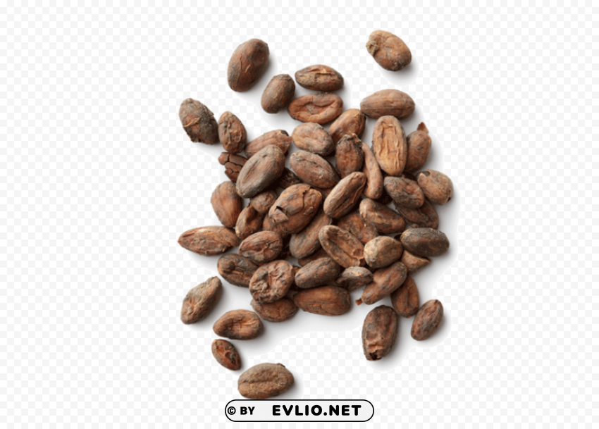 cacao Transparent PNG images pack
