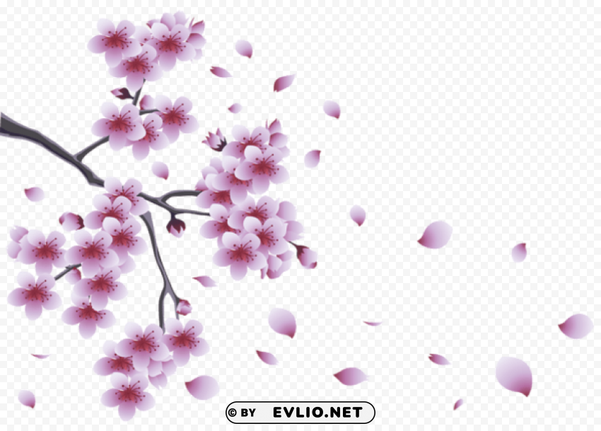 spring branch with tree flowers PNG images with clear alpha channel