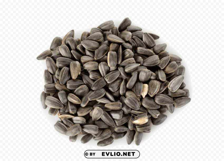 sunflower seeds PNG high resolution free PNG images with transparent backgrounds - Image ID 48f2cc27