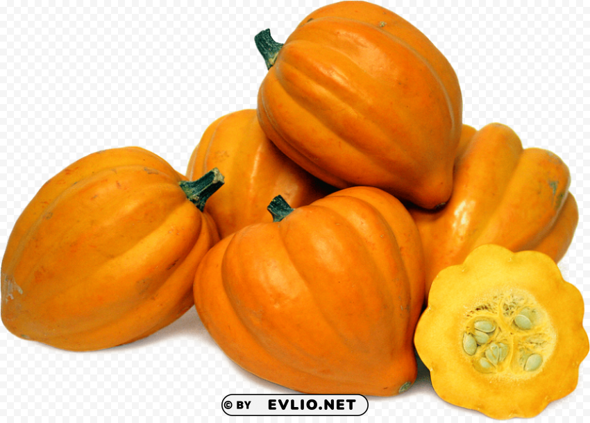 acorn squash file HighResolution PNG Isolated on Transparent Background