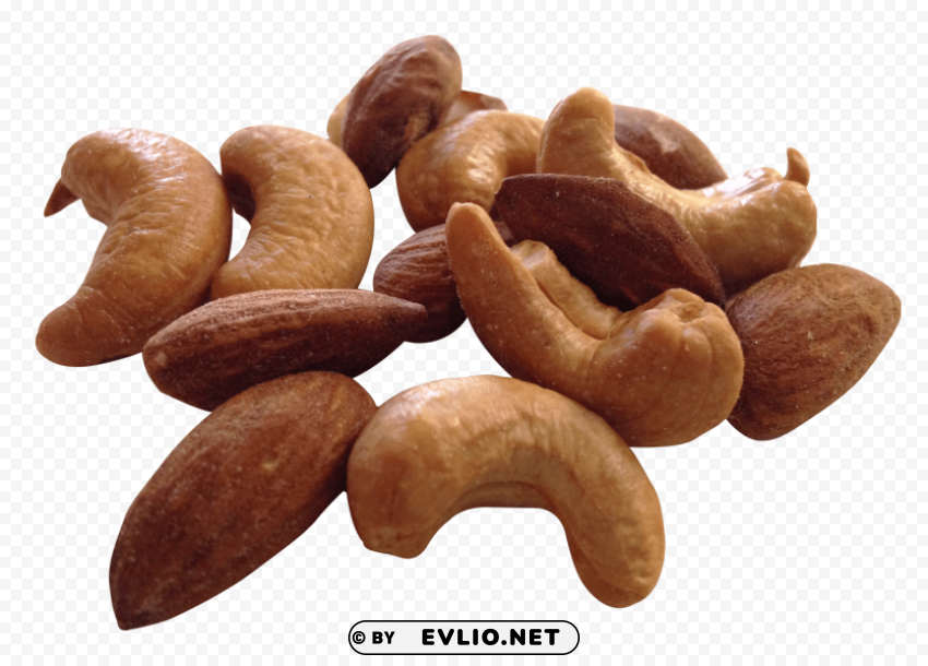 cashew nut PNG Object Isolated with Transparency