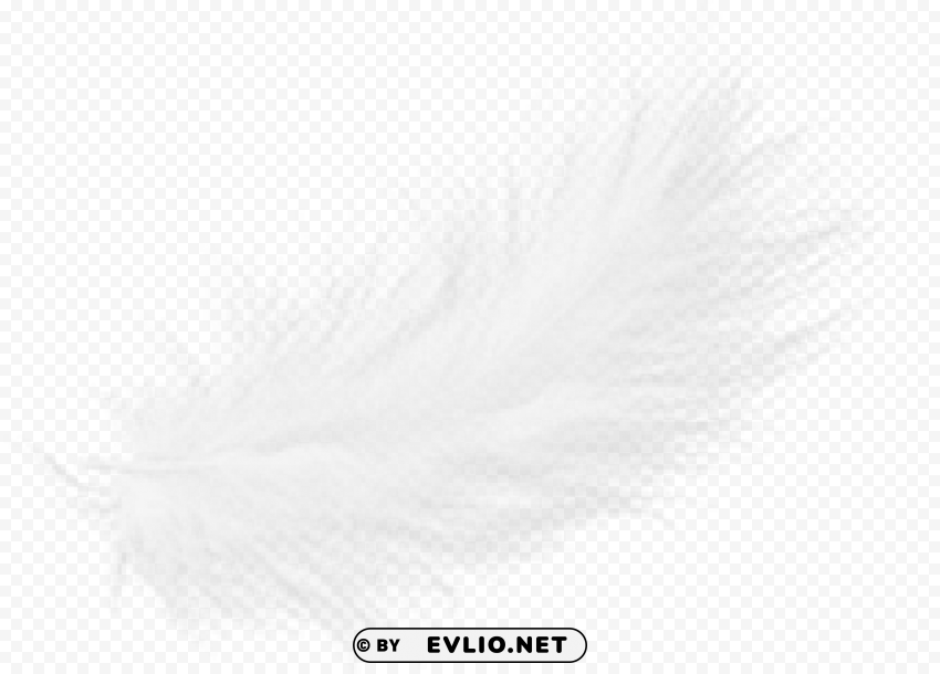 feather PNG with no background for free png images background - Image ID c83f4cdd