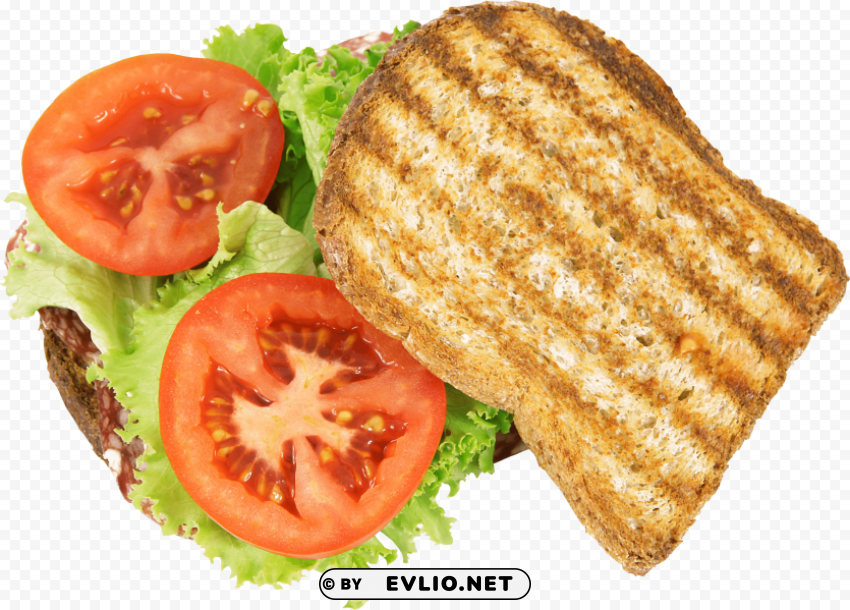 sandwhich toast grilled Free PNG images with alpha channel
