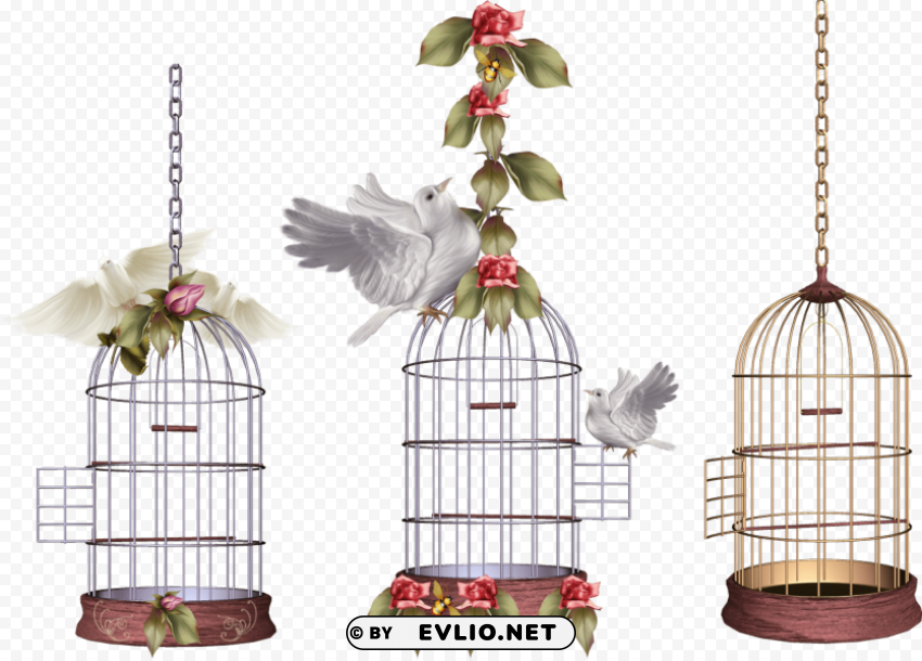 white bird cage PNG graphics for presentations