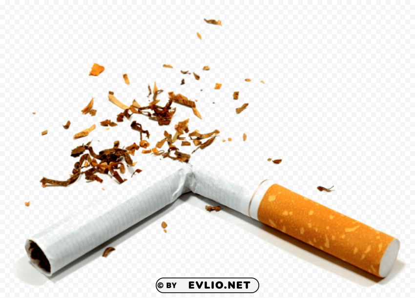broken cigarette Isolated Design Element in HighQuality Transparent PNG