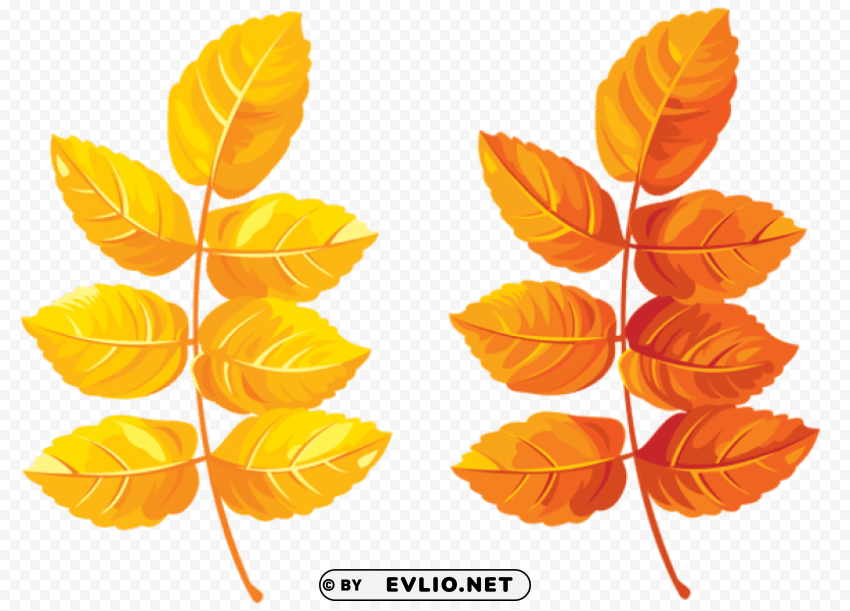 fall leaves Transparent PNG graphics complete archive