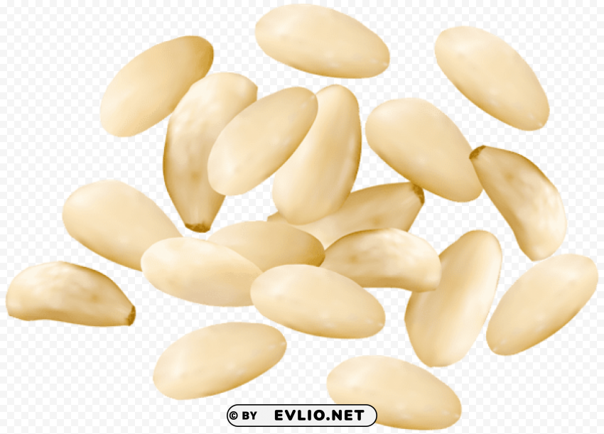 pine nuts PNG with clear transparency