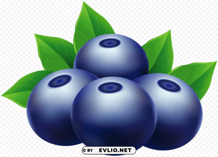 blueberries Free PNG images with alpha channel variety