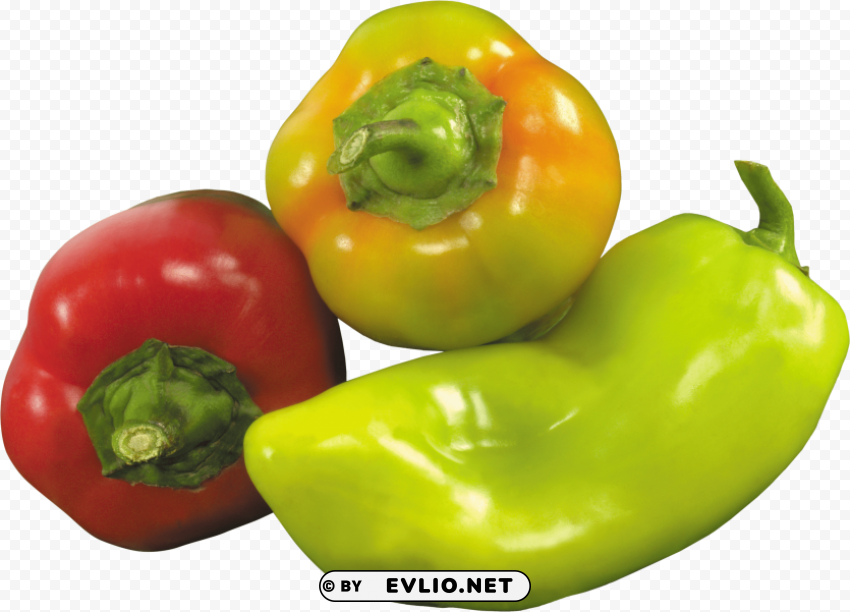pepper PNG Image Isolated on Clear Backdrop