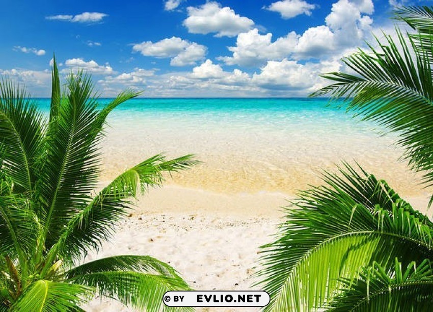 tropic beach High-quality transparent PNG images