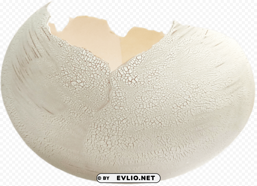 eggs Transparent PNG Isolated Element with Clarity