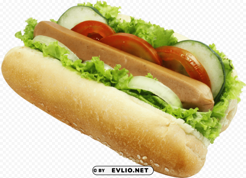 hot dog HighQuality Transparent PNG Isolated Element Detail PNG images with transparent backgrounds - Image ID 6b4595c5