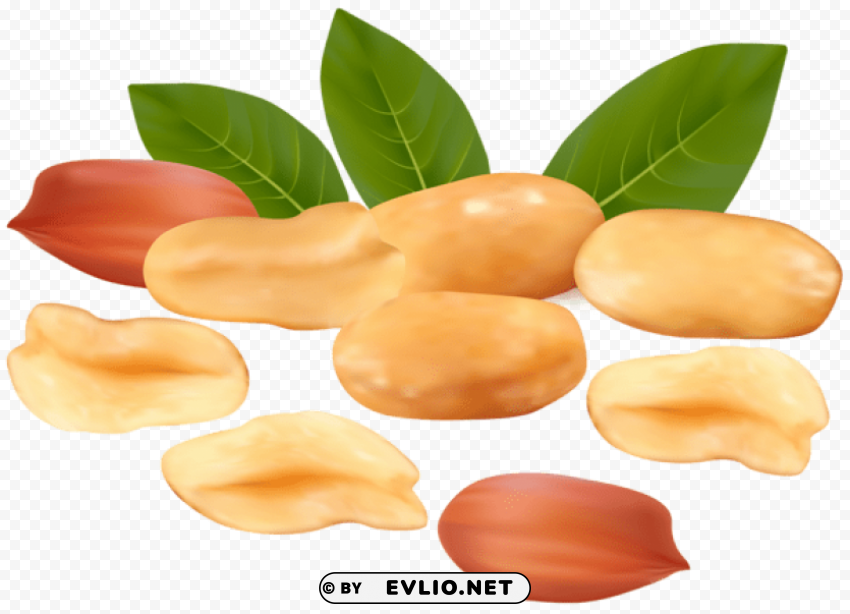 peanuts PNG images with alpha transparency bulk clipart png photo - 8608a340