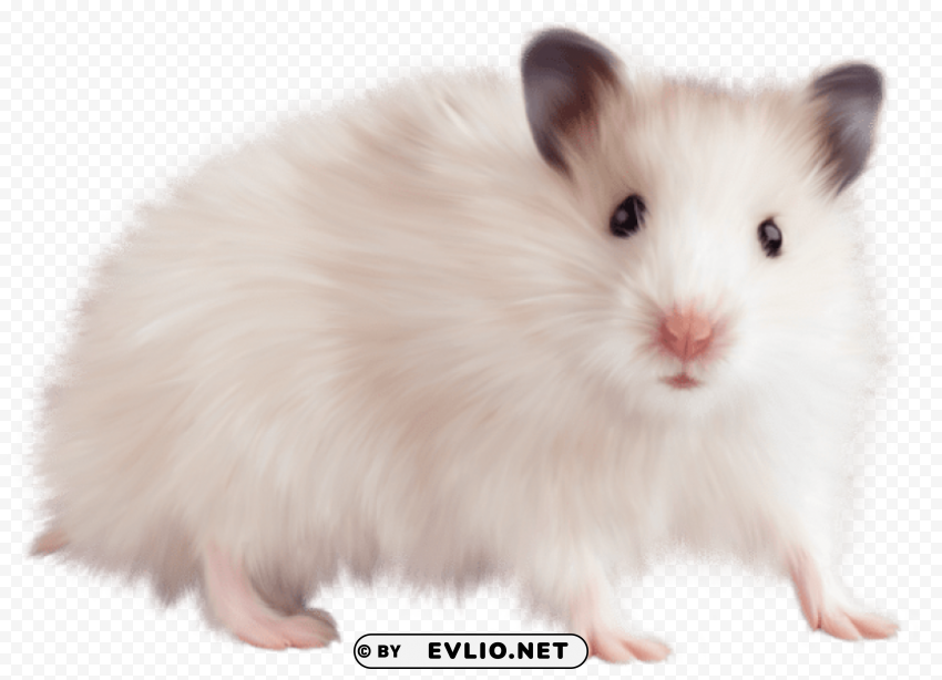  mouse Isolated Object with Transparent Background PNG