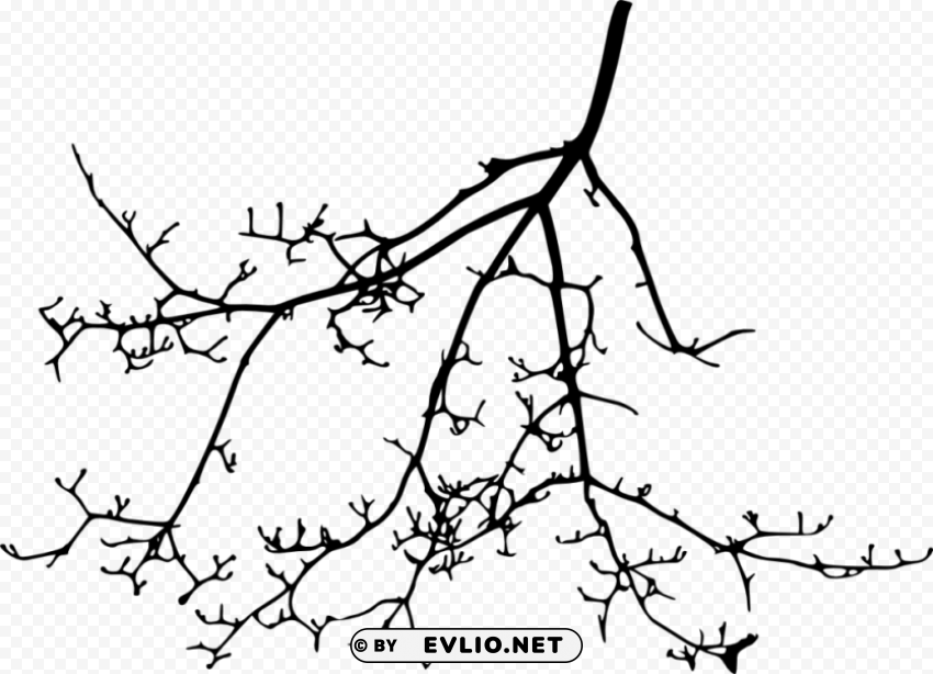 tree branch silhouette Transparent PNG graphics archive
