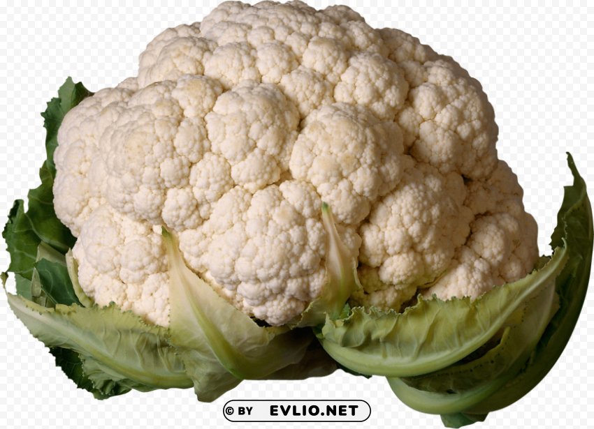 cauliflower Clear PNG graphics free