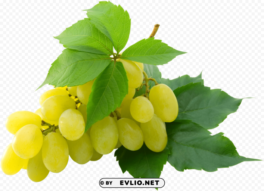 grape PNG with transparent background free