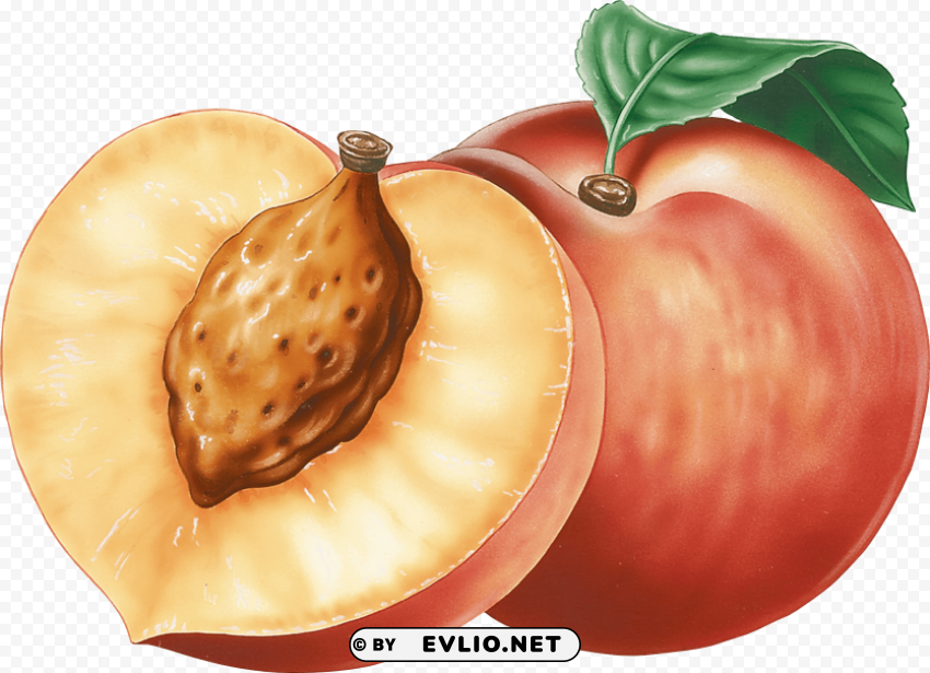 peach Transparent PNG Isolated Artwork