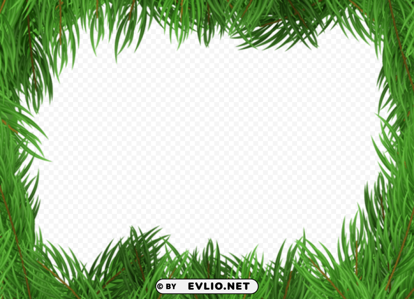 pine frame Isolated Artwork on HighQuality Transparent PNG