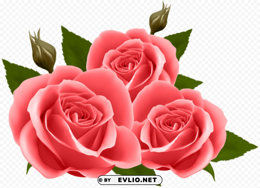 PNG image of red roses HighQuality Transparent PNG Element with a clear background - Image ID 7057188d