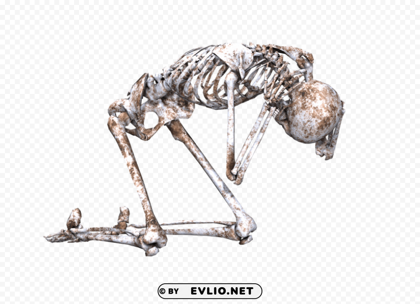 skeleton on its knees Isolated Object on HighQuality Transparent PNG
