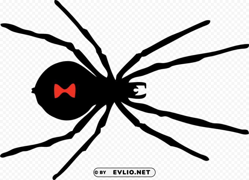 spider Clear Background Isolated PNG Icon clipart png photo - ac4783cc