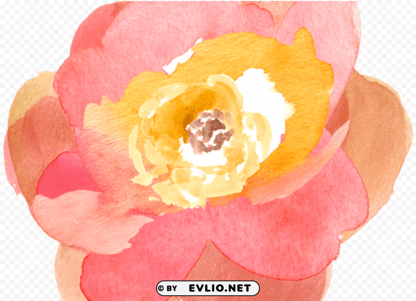 Watercolor Orange Flowers Isolated Object With Transparency In PNG