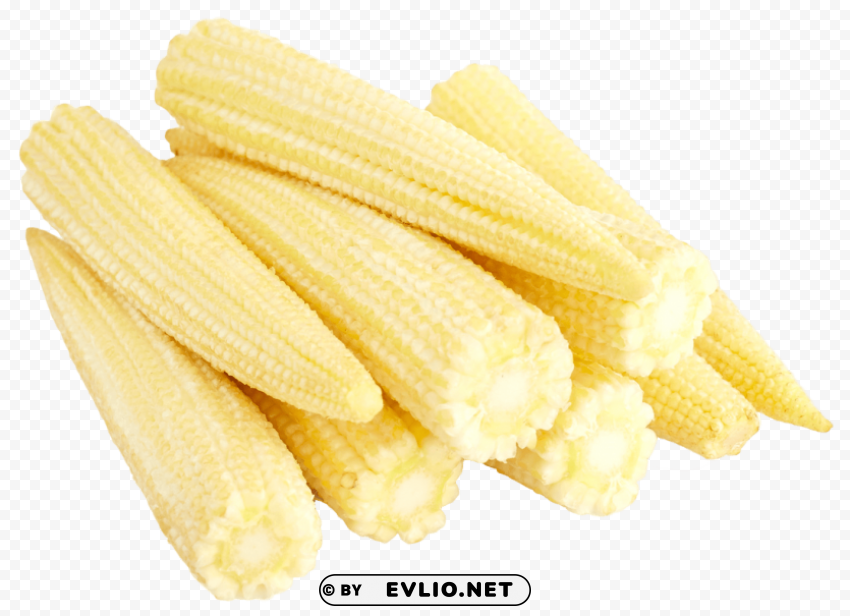 baby corn cobs Isolated Item in HighQuality Transparent PNG
