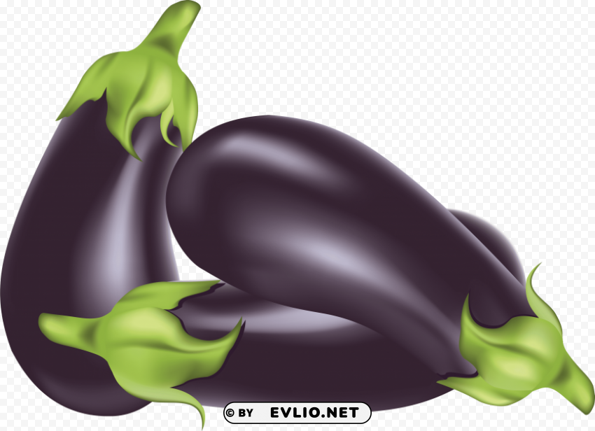 eggplant PNG for design