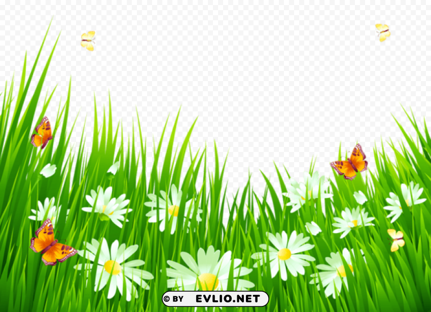 grass with white flowers Isolated Graphic in Transparent PNG Format