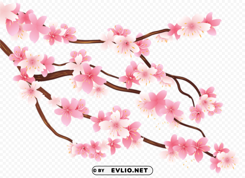 Pink Spring Branch PNG Graphic With Transparent Isolation