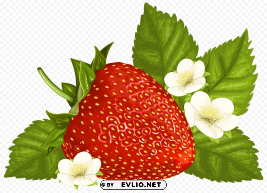 strawberry Isolated Design on Clear Transparent PNG