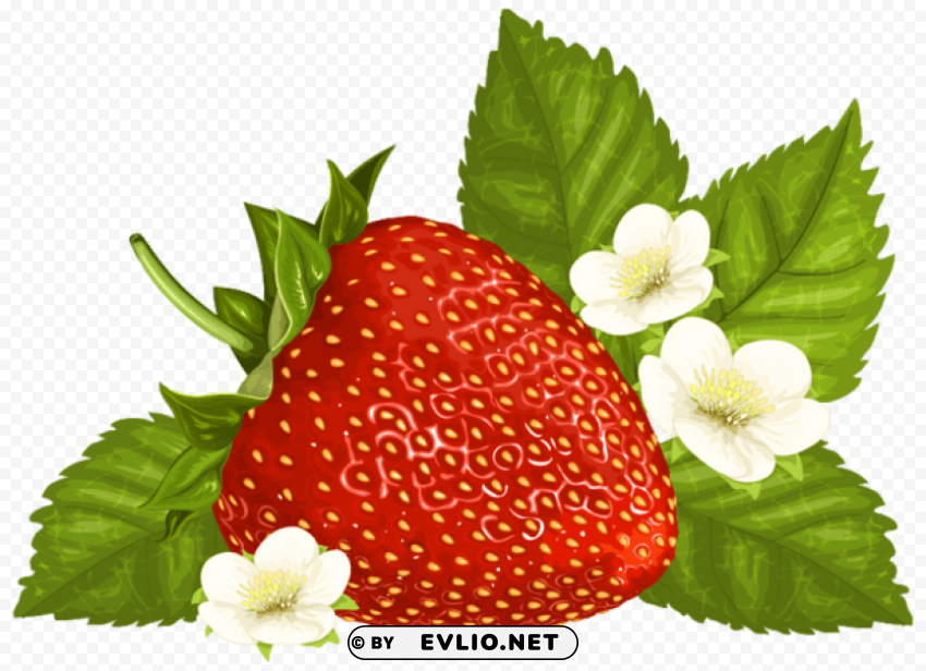 Strawberry Isolated Design On Clear Transparent PNG