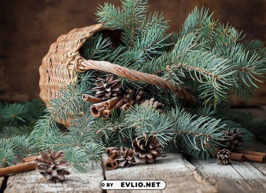 christmas pine basket Clear Background Isolated PNG Illustration