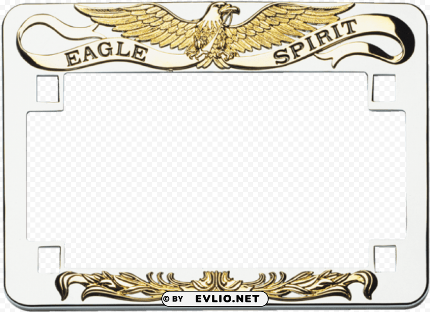 eagle frames Transparent PNG Isolated Item