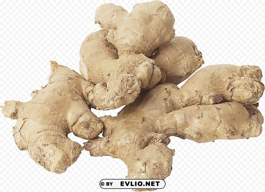 ginger PNG high resolution free