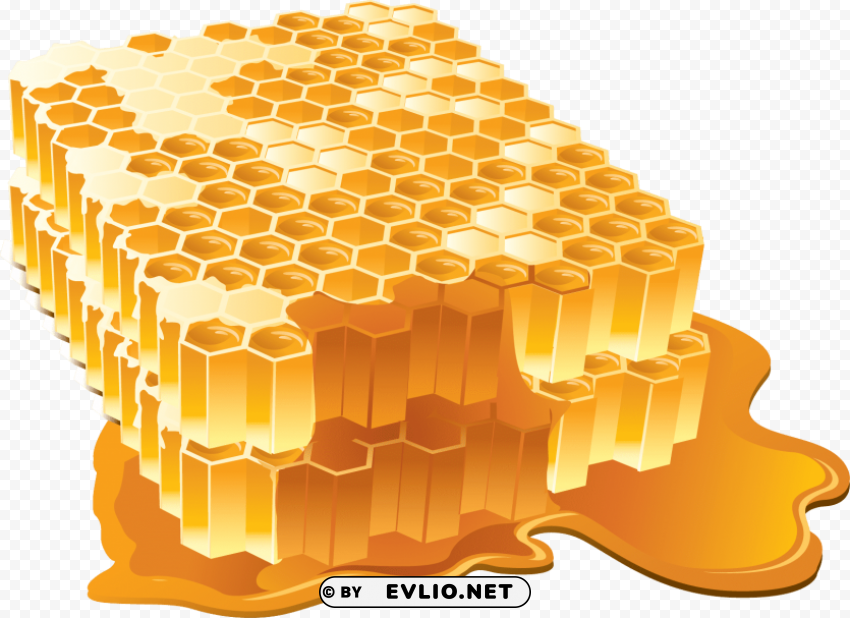 Honey PNG Design Elements