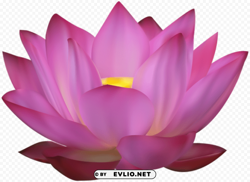 pink lotus PNG Image with Clear Background Isolated