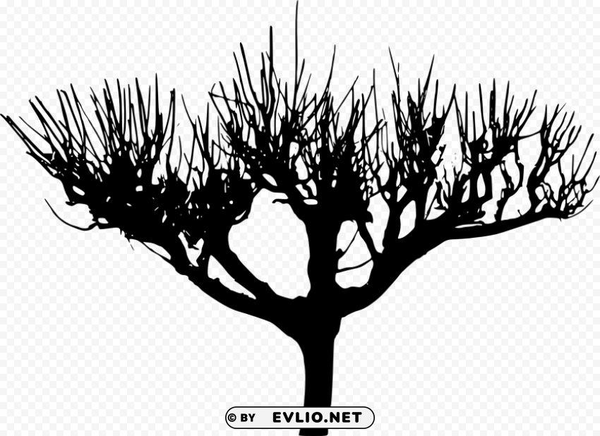 tree silhouette Isolated PNG Item in HighResolution