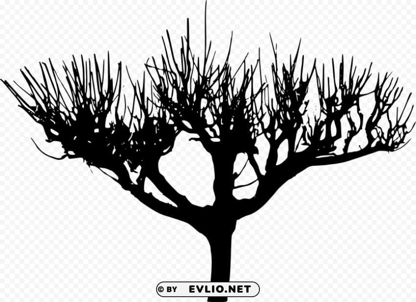 Tree Silhouette Isolated PNG Item In HighResolution