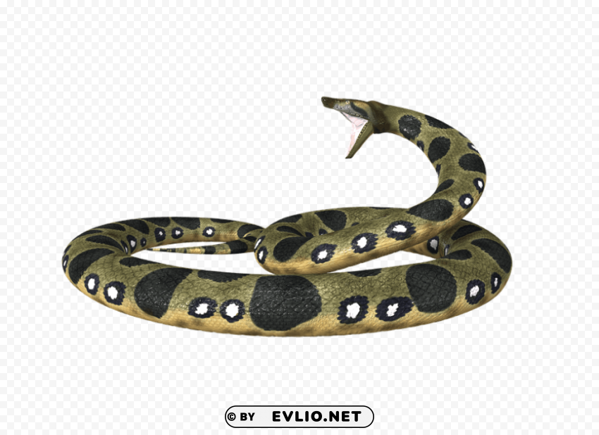 vipers PNG with no background for free