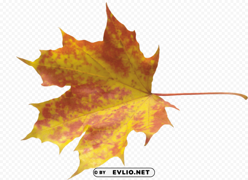 yellow leaves Isolated Character in Transparent Background PNG