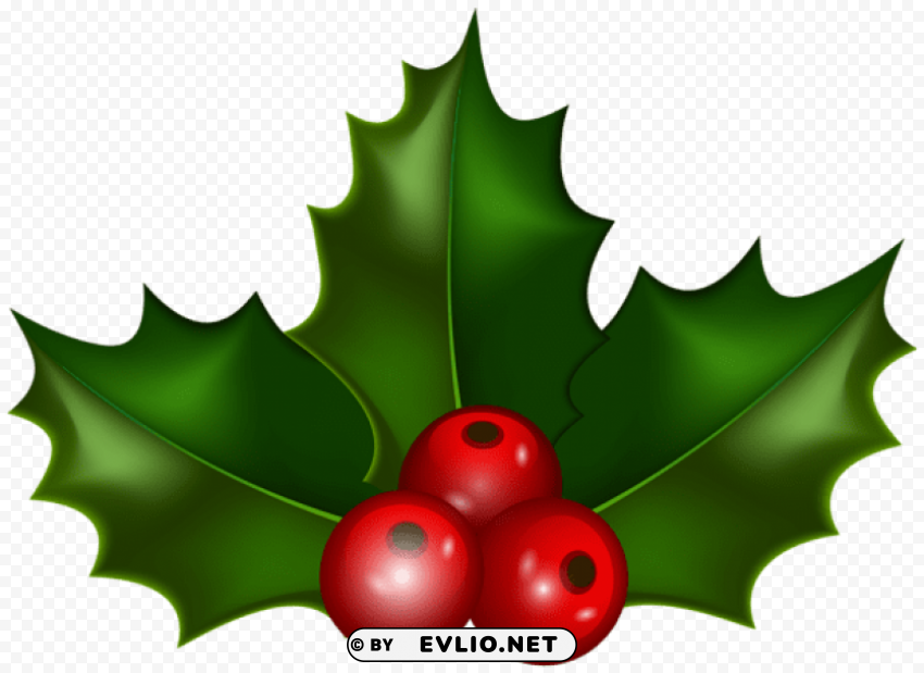 christmas holly Transparent PNG Image Isolation