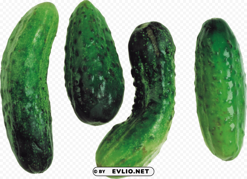 cucumber HighQuality Transparent PNG Isolated Graphic Element