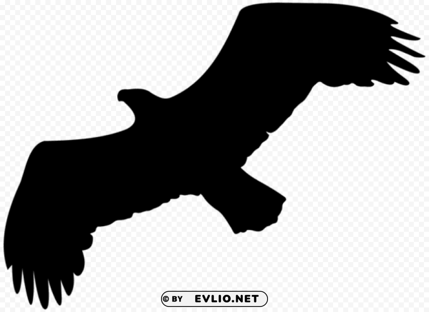 eagle silhouette Transparent background PNG images comprehensive collection