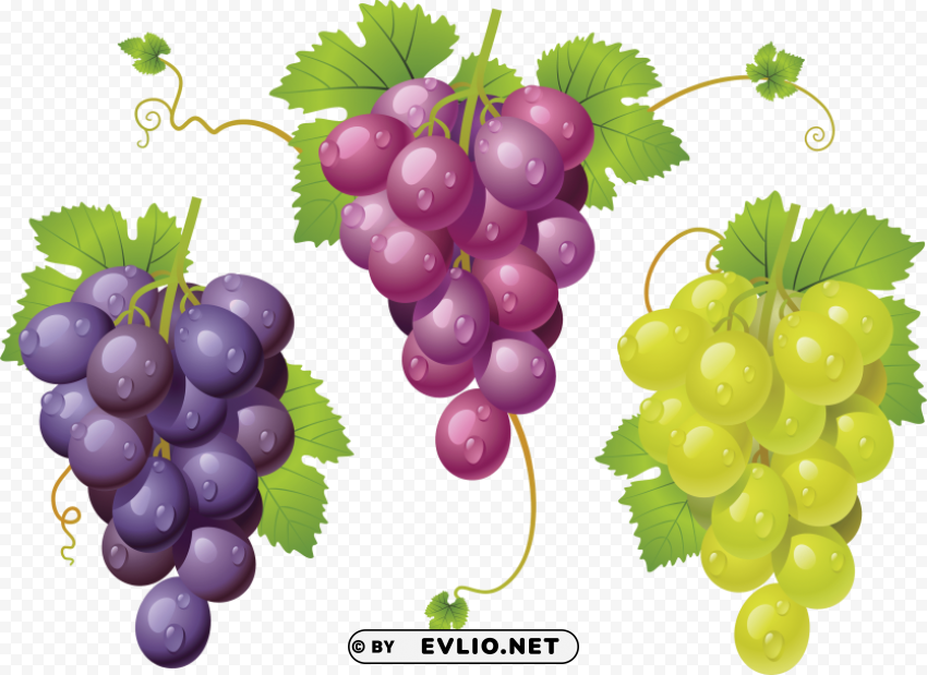 grapes PNG images with transparent overlay