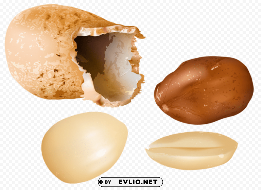 peanuts PNG photo with transparency
