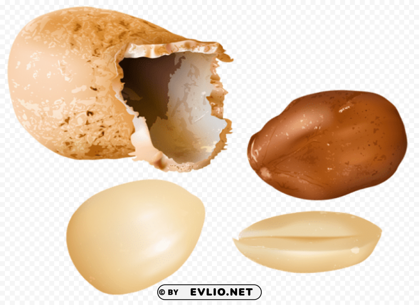 Peanuts PNG Photo With Transparency